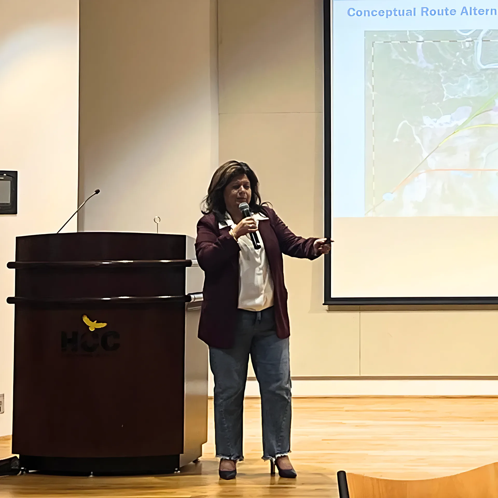 Ana Mijares, P.E. Beaumont District Engineer TxDOT