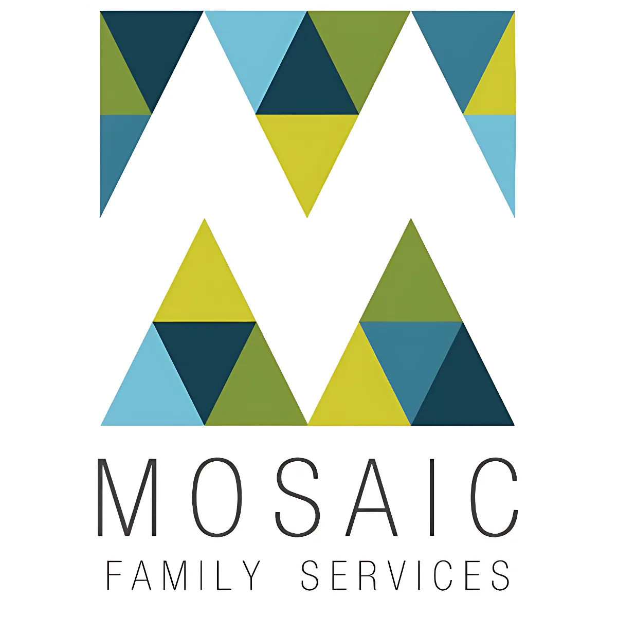 Mosaic Family Services